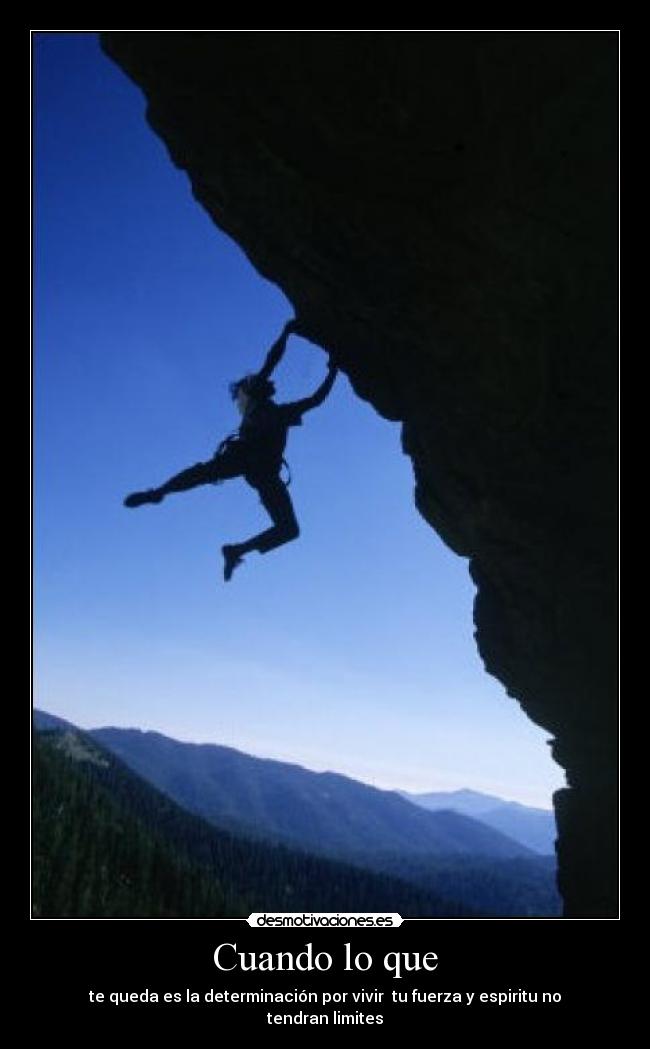 carteles determinacion vida desmotivaciones