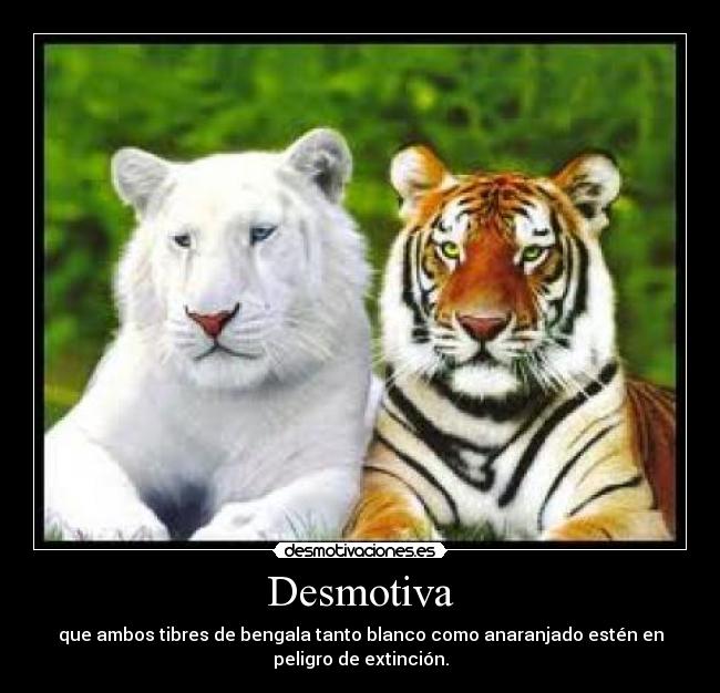 Desmotiva - 