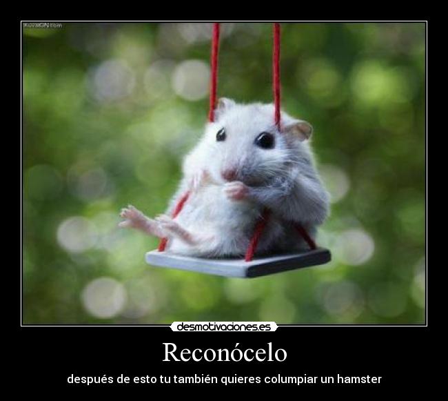 carteles noeliacb desmotivaciones