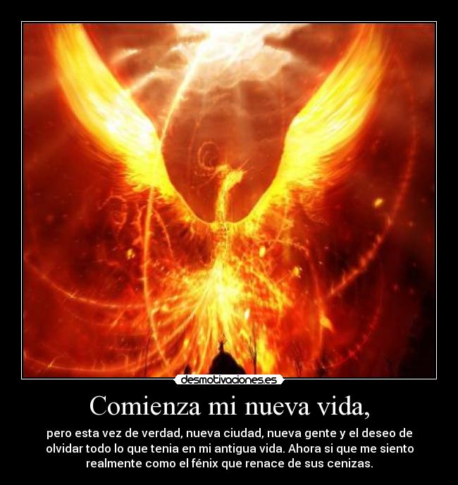 carteles vida sidskinsboy fenix renacer nueva vida desmotivaciones