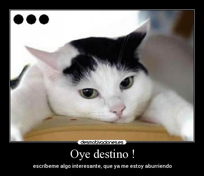 Oye destino ! -
