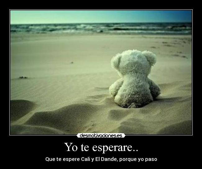 Yo te esperare.. -