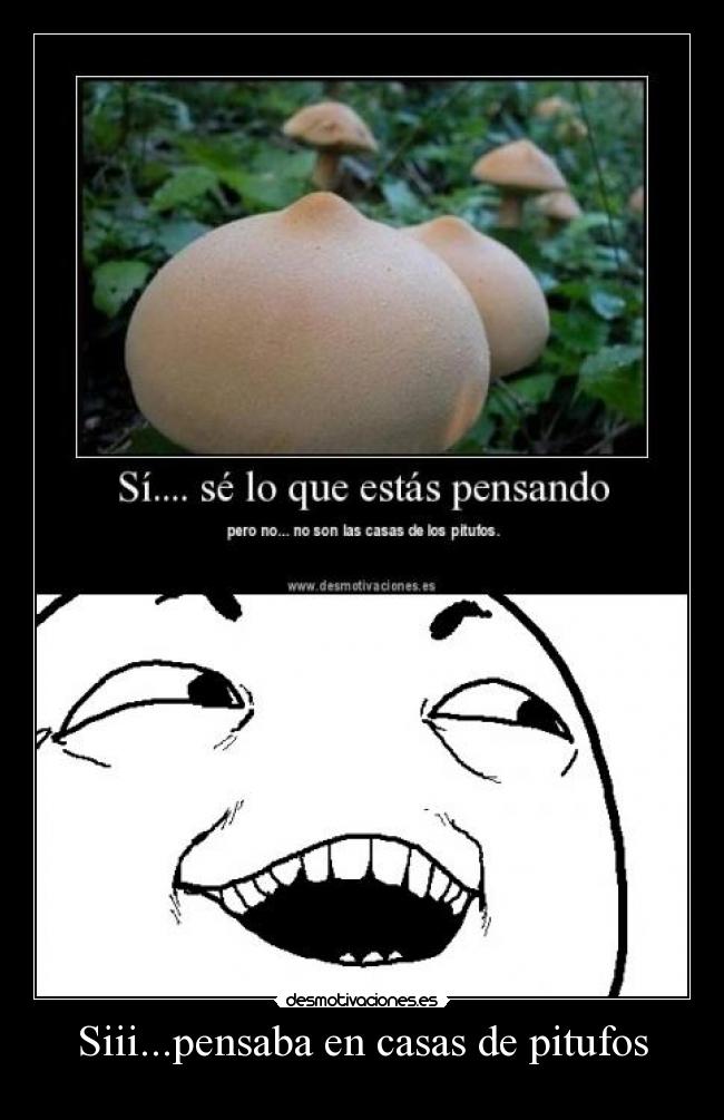 Siii...pensaba en casas de pitufos -
