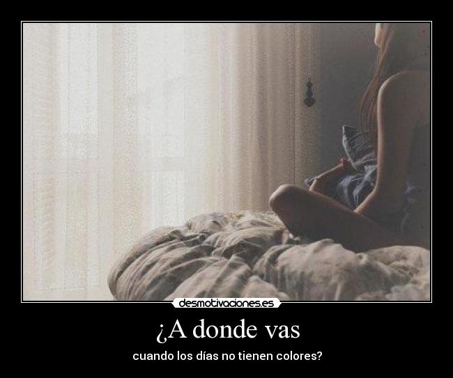 ¿A donde vas - cuando los días no tienen colores?