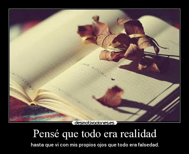 Pensé que todo era realidad - hasta que vi con mis propios ojos que todo era falsedad.