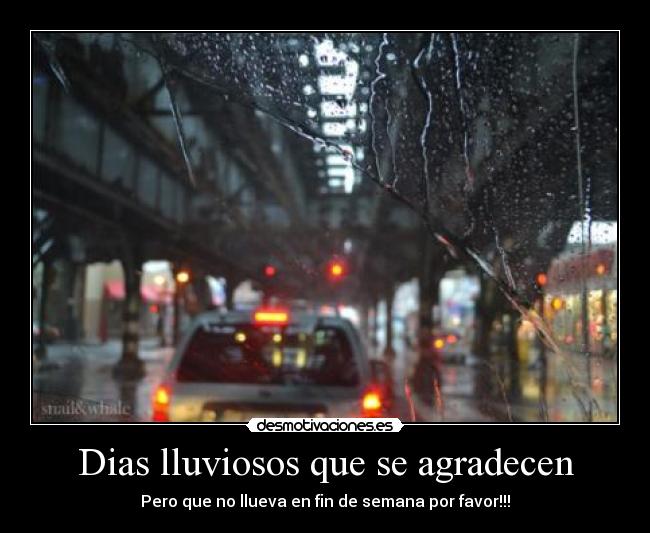 Dias lluviosos que se agradecen - 