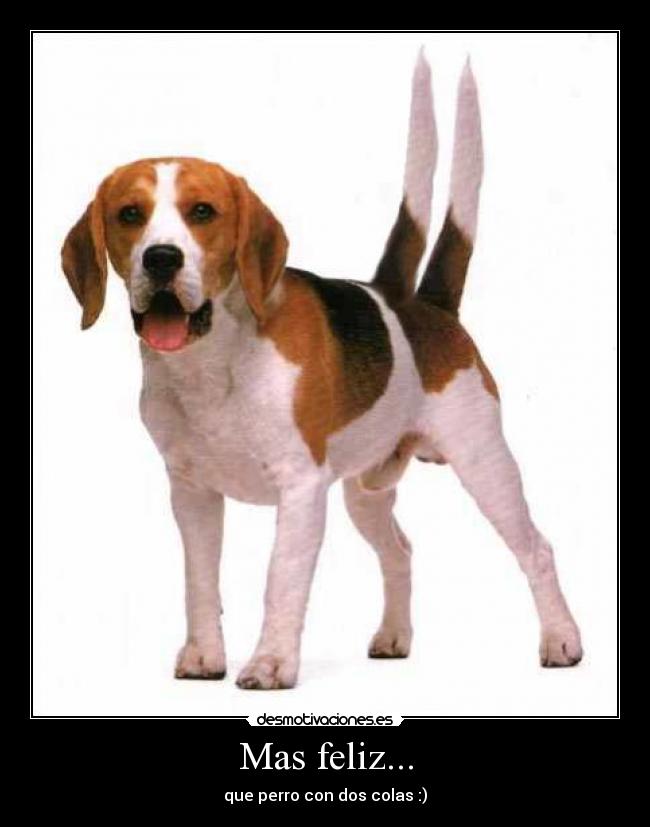 carteles feliz desmotivaciones