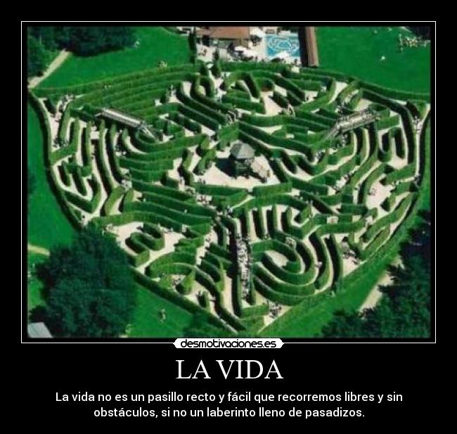 LA VIDA - La vida no es un pasillo recto y fácil que recorremos libres y sin
obstáculos, si no un laberinto lleno de pasadizos.