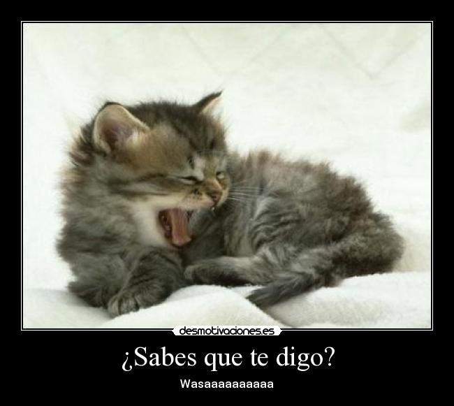 ¿Sabes que te digo? - Wasaaaaaaaaaa