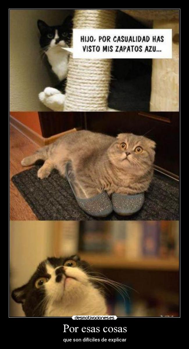 Por esas cosas - que son difíciles de explicar
