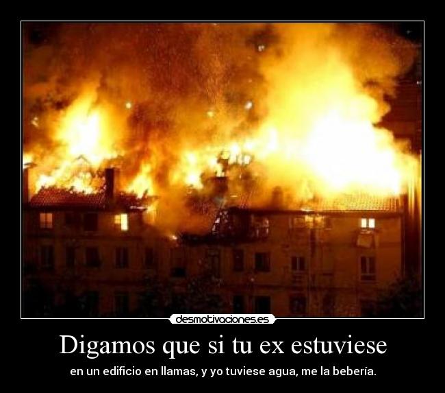 Digamos que si tu ex estuviese - en un edificio en llamas, y yo tuviese agua, me la bebería.
