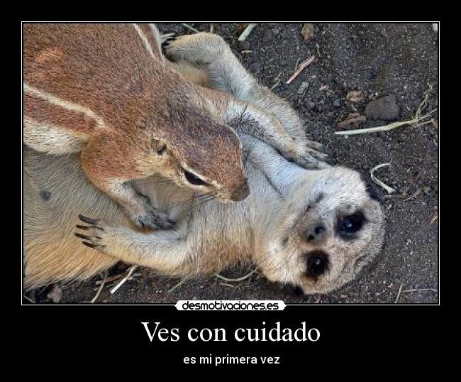 Ves con cuidado - es mi primera vez