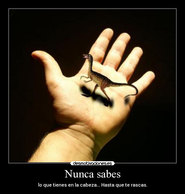 Nunca sabes - lo que tienes en la cabeza... Hasta que te rascas.