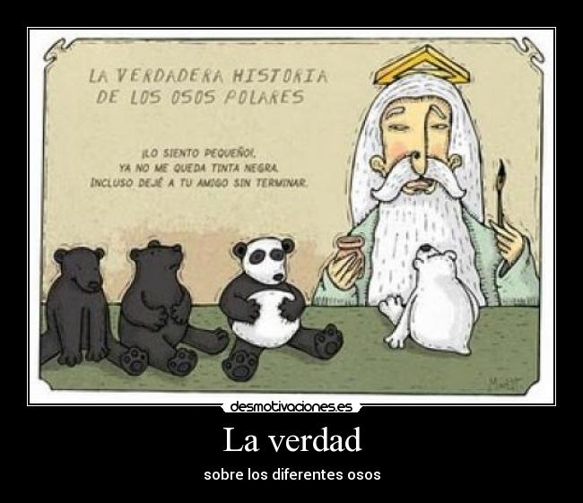 carteles osos dios creacion desmotivaciones