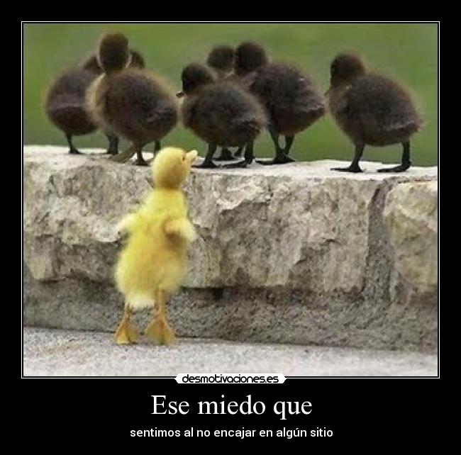 Ese miedo que - sentimos al no encajar en algún sitio