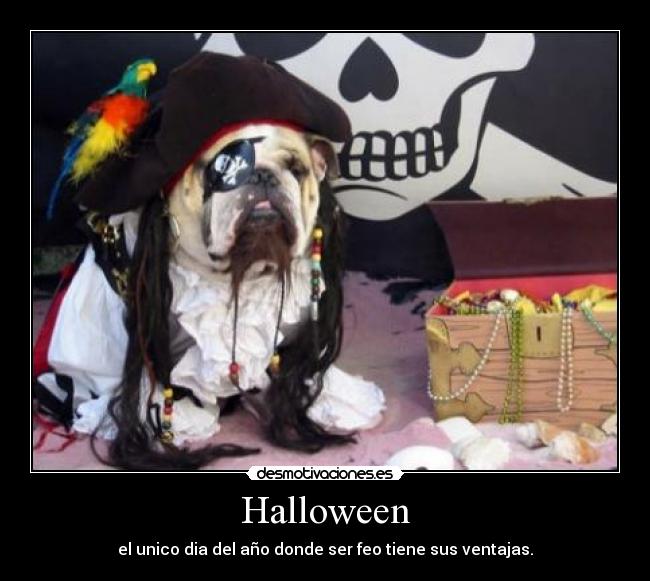 Halloween - el unico dia del año donde ser feo tiene sus ventajas.