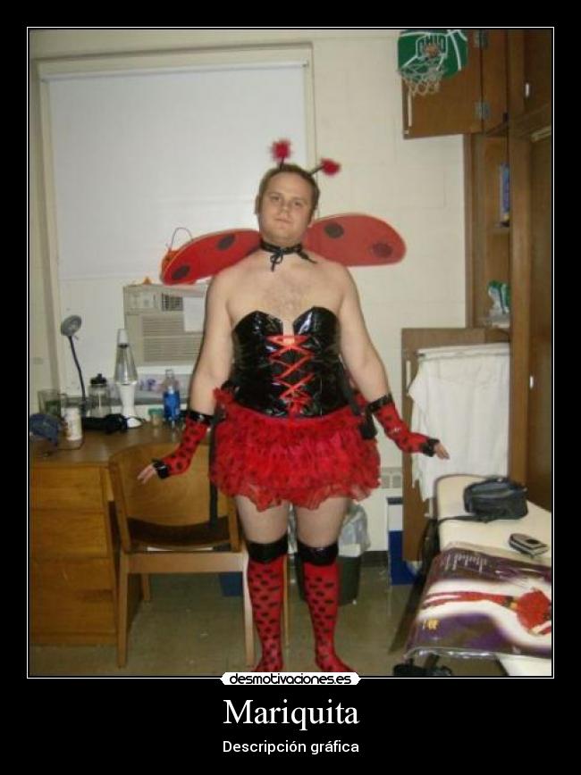 Mariquita - Descripción gráfica