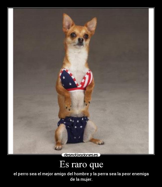 Es raro que - el perro sea el mejor amigo del hombre y la perra sea la peor enemiga de la mujer.