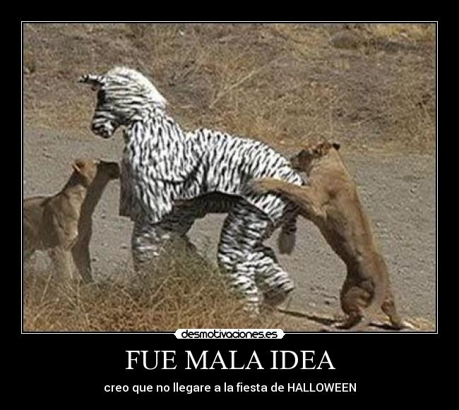 FUE MALA IDEA - creo que no llegare a la fiesta de HALLOWEEN