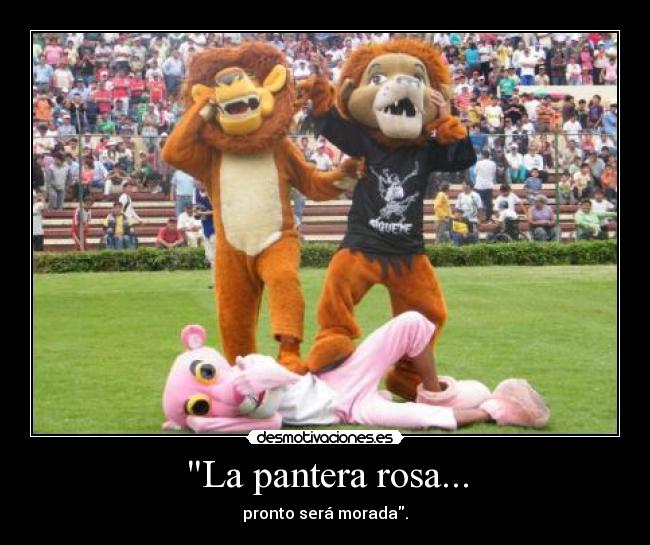 La pantera rosa... - pronto será morada.