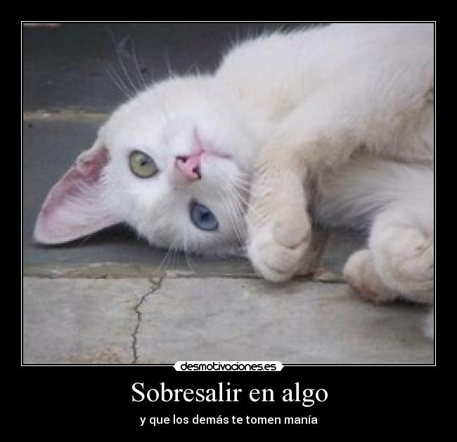 Sobresalir en algo -