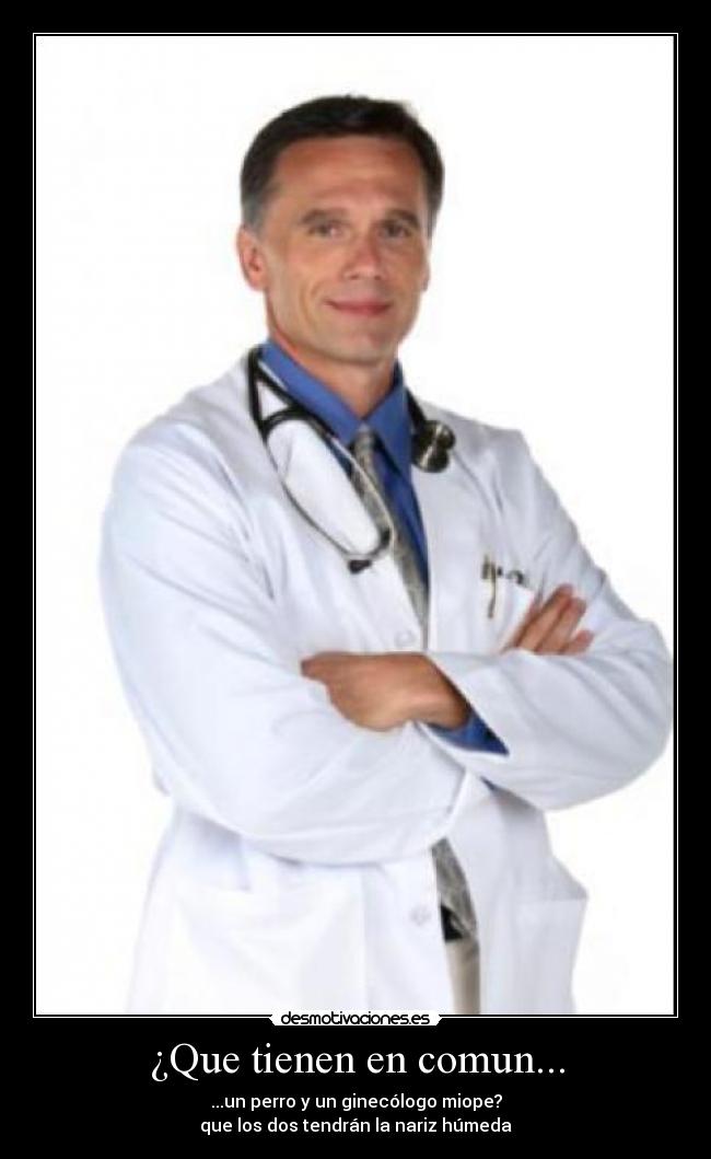 ¿Que tienen en comun... - ...un perro y un ginecólogo miope?
que los dos tendrán la nariz húmeda
