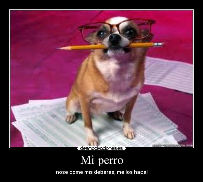 Mi perro - 