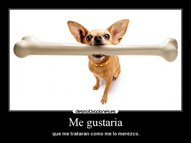 Me gustaria - que me trataran como me lo merezco.