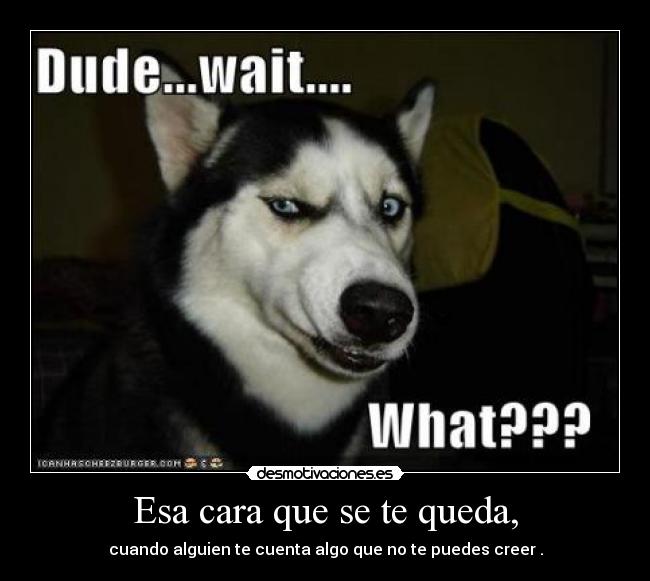 Esa cara que se te queda, - cuando alguien te cuenta algo que no te puedes creer .