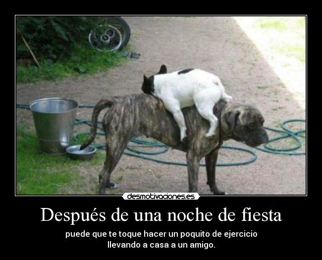 Después de una noche de fiesta - 