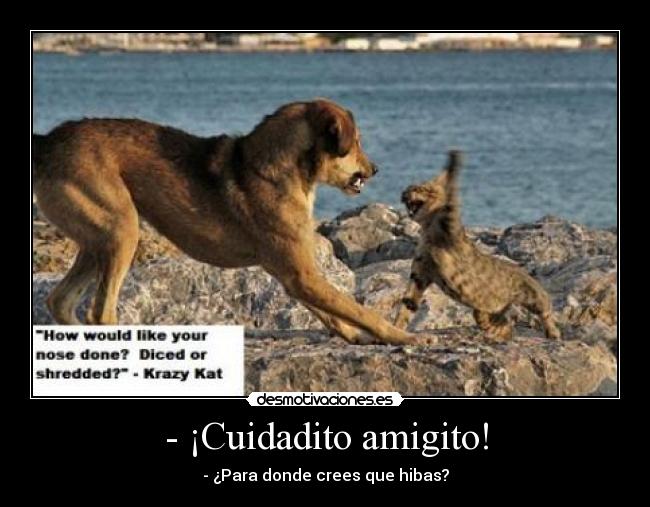 - ¡Cuidadito amigito! - - ¿Para donde crees que hibas?