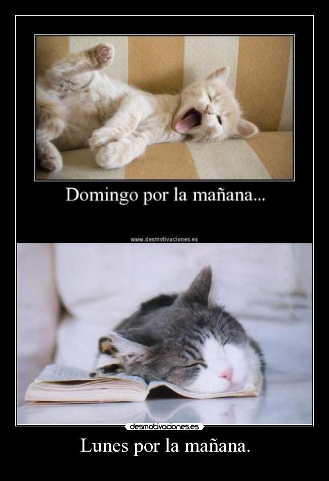 Lunes por la mañana. -