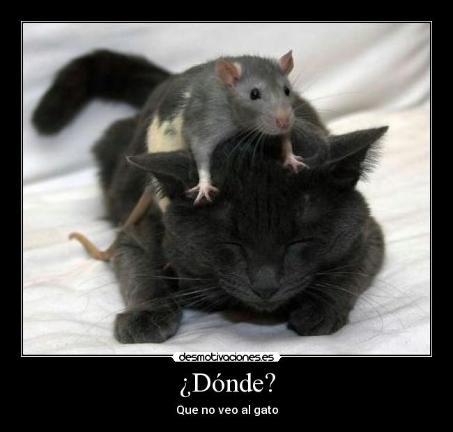 ¿Dónde? - 