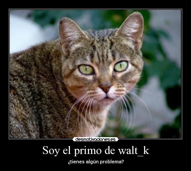 carteles soy primo walt_k desmotivaciones