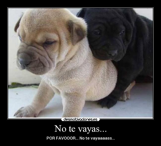 No te vayas... - POR FAVOOOR... No te vayaaaass...