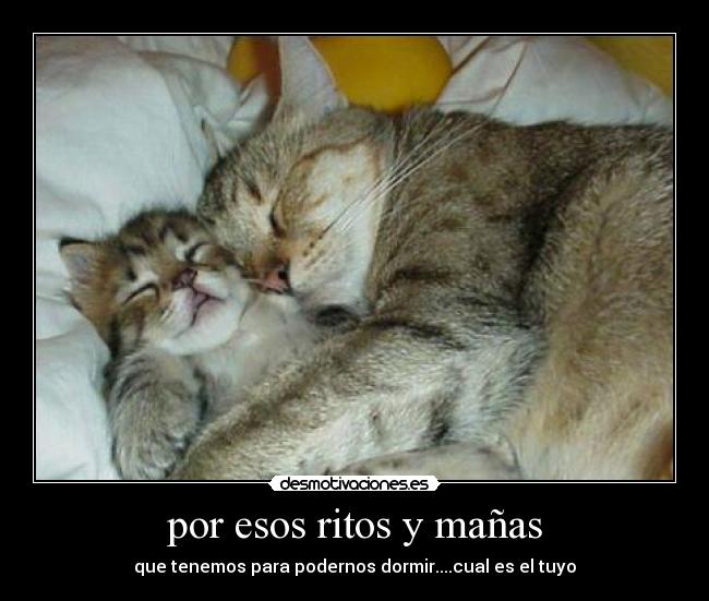 por esos ritos y mañas - que tenemos para podernos dormir....cual es el tuyo