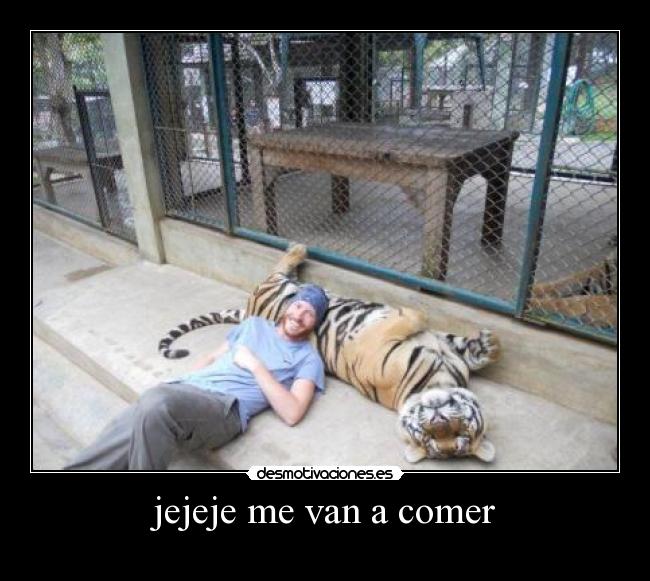 jejeje me van a comer -