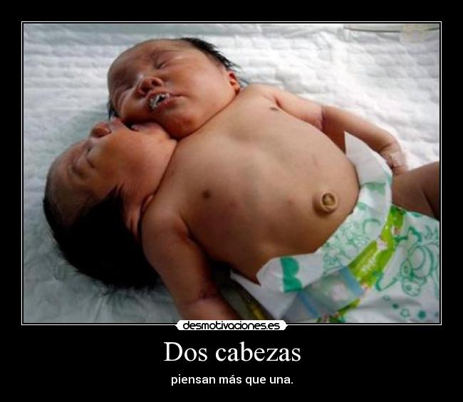 Dos cabezas - 