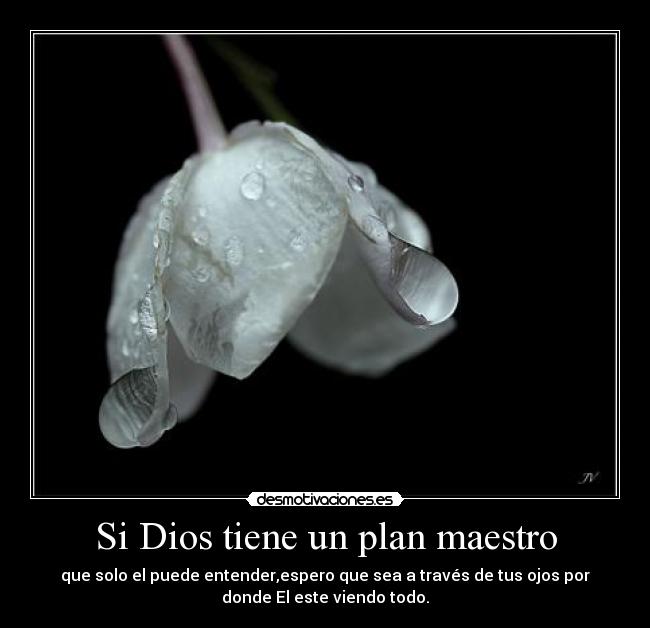 Si Dios tiene un plan maestro - 