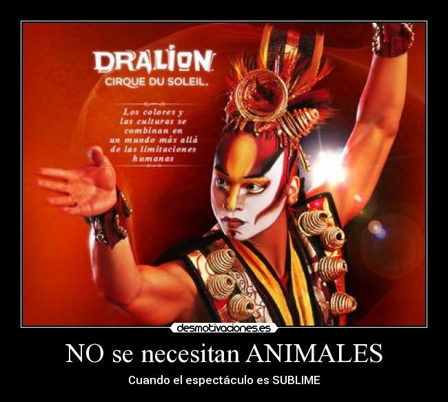 NO se necesitan ANIMALES - Cuando el espectáculo es SUBLIME