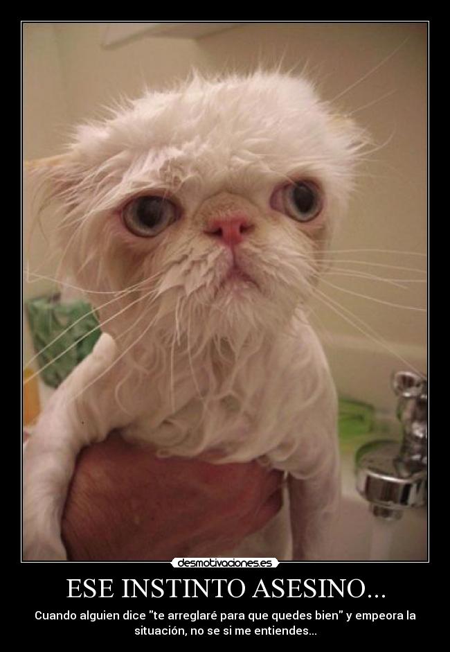 ESE INSTINTO ASESINO... - 