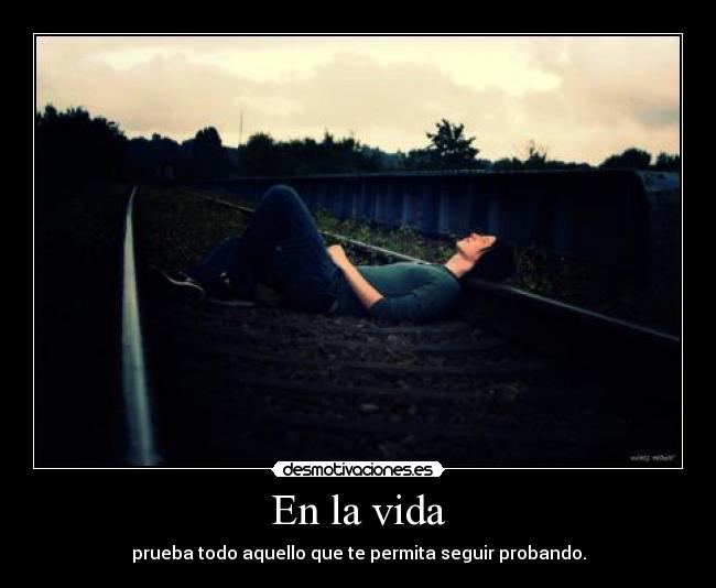 carteles vida vida desmotivaciones