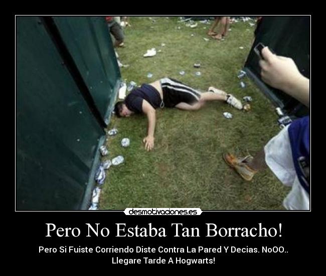 Pero No Estaba Tan Borracho! - 