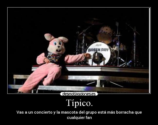 Típico. - Vas a un concierto y la mascota del grupo está más borracha que cualquier fan