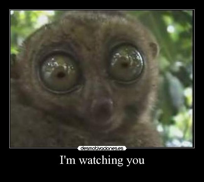 Im watching you -