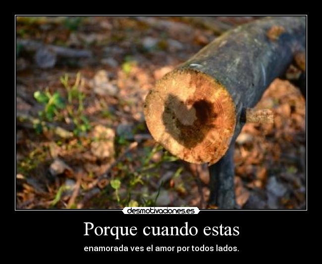 Porque cuando estas - enamorada ves el amor por todos lados.