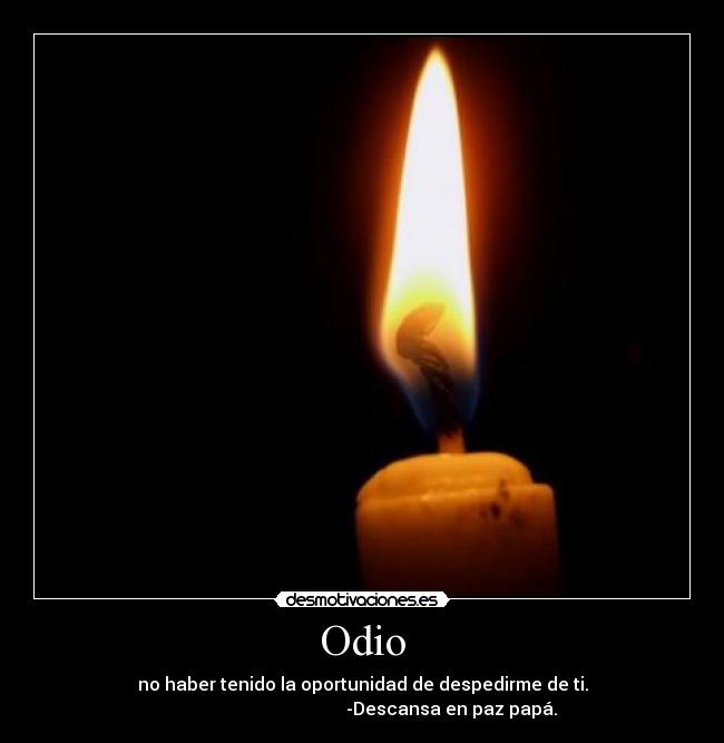 Odio - no haber tenido la oportunidad de despedirme de ti.
                                        -Descansa en paz papá.