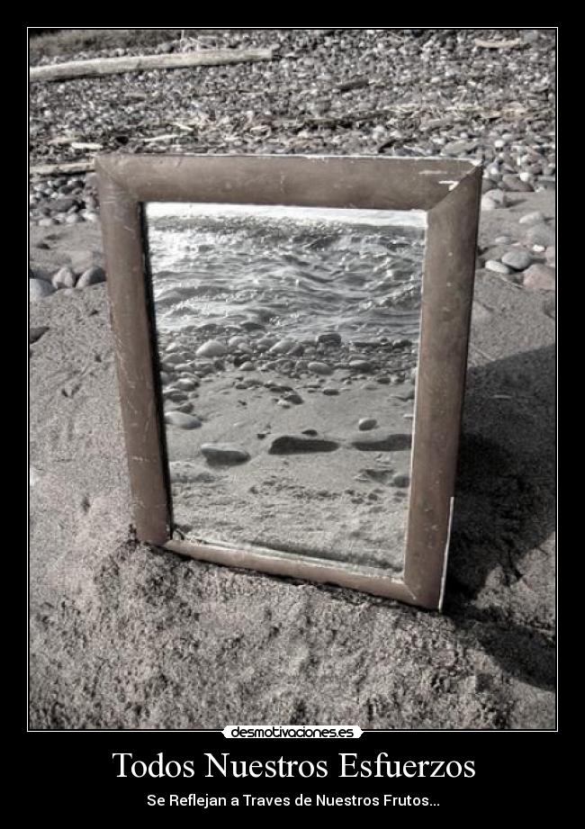 Todos Nuestros Esfuerzos - Se Reflejan a Traves de Nuestros Frutos...