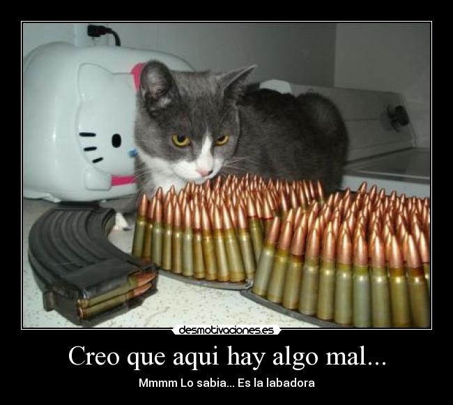 Creo que aqui hay algo mal... - 