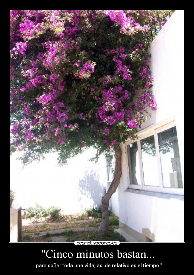 Cinco minutos bastan... - ...para soñar toda una vida, así de relativo es el tiempo.